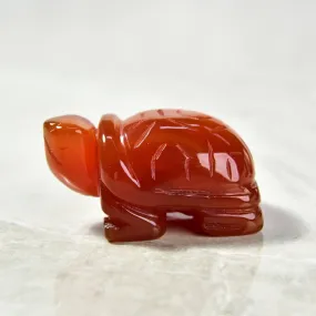 2 Carnelian Turtle Natural Gemstone Carving